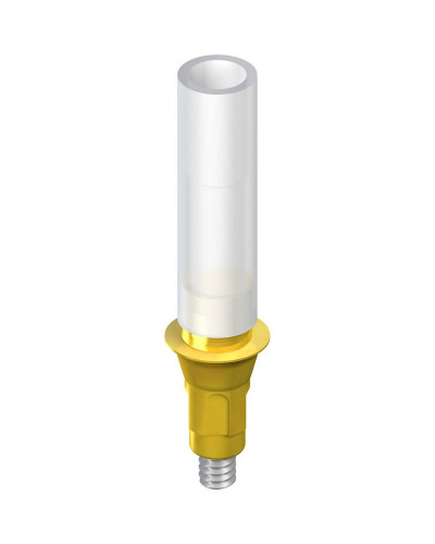 leg-1101-8239a6bf4f705303f33e59e502a212ad