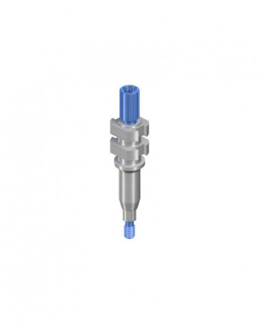 leg-1333-56f76ad2ace1efce30f51cd73af7297e