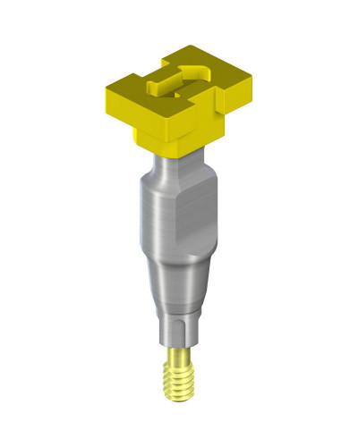 leg-1014-22bb50da954075922d7af7c6d4e46652