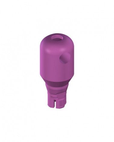 leg-1077-3cbbb29e7c8e4d08ff06ab9ca4ceba50