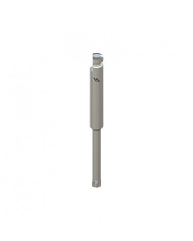 leg-766-55472a2d82d216636b981a1c28406d61