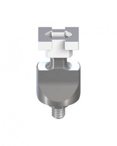 leg-1342-21a477f80b0c04e060acee0053caadb7